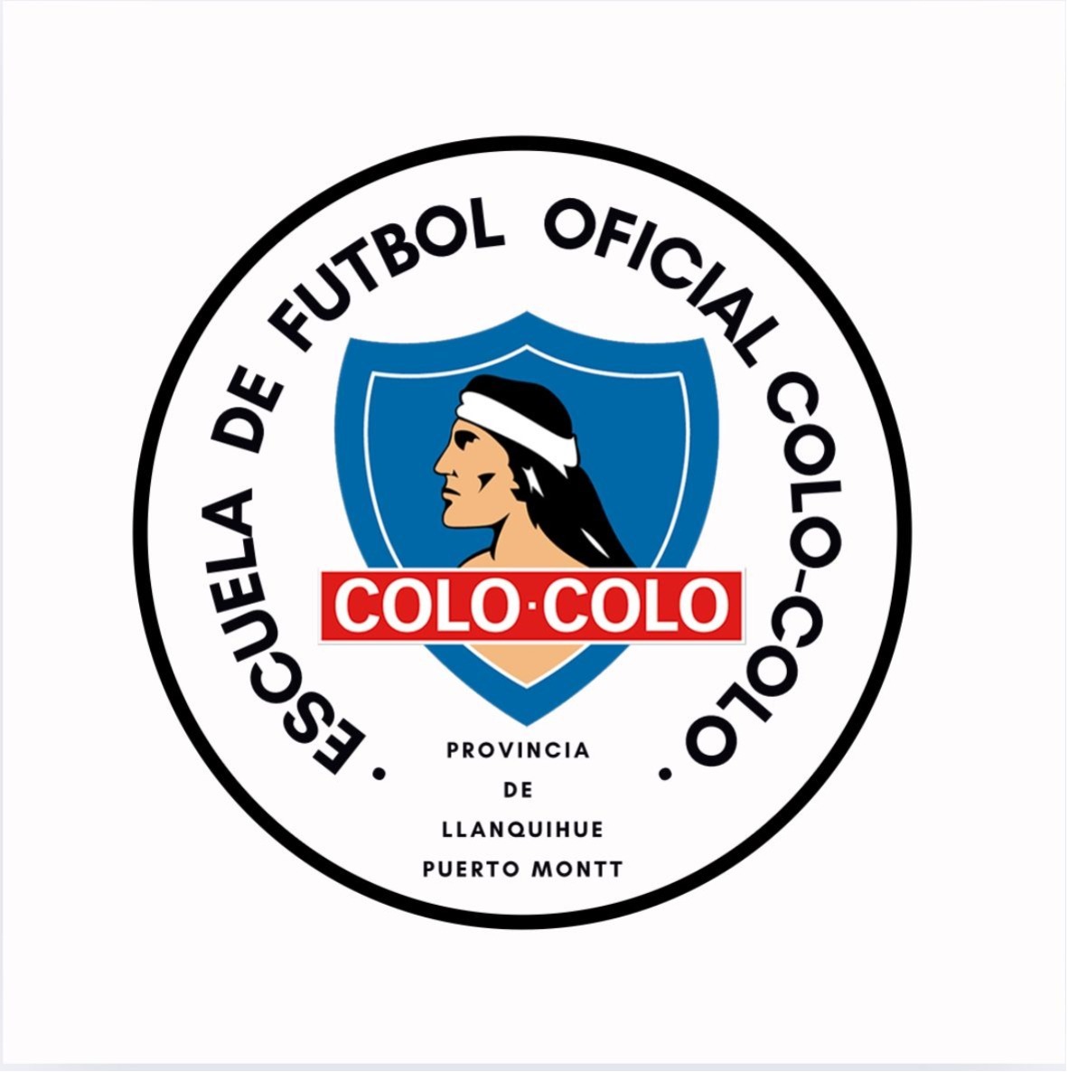 Escuela de Fútbol Oficial Colo Colo Puerto Montt